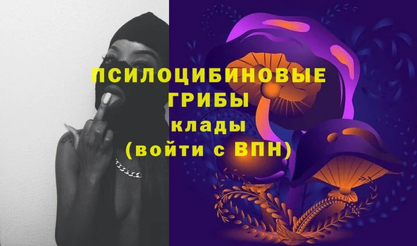прущие крисы Переславль-Залесский
