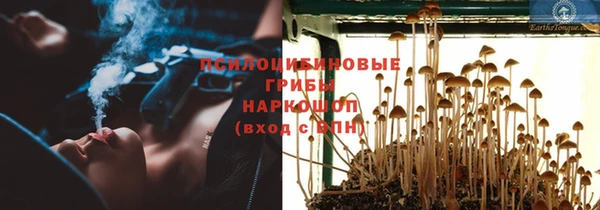 меф Пестово