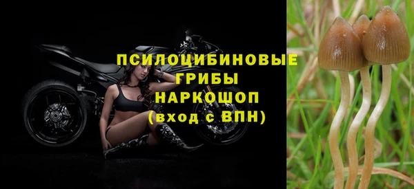 прущая мука Покровск