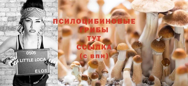 мдма Пересвет