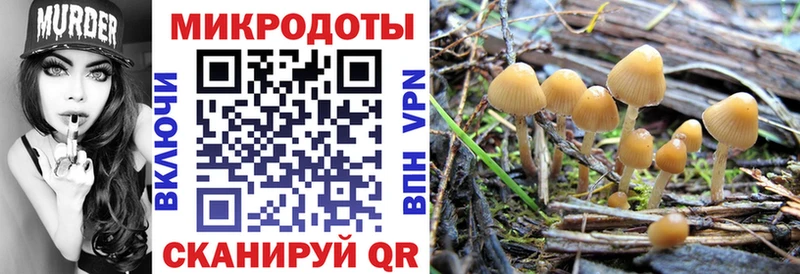 блэк спрут ССЫЛКА  это какой сайт  Инсар  Псилоцибиновые грибы прущие грибы  где купить наркоту 